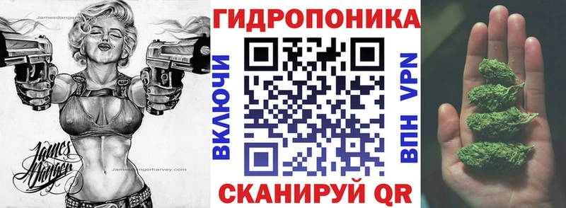 Марихуана семена  Шумиха 